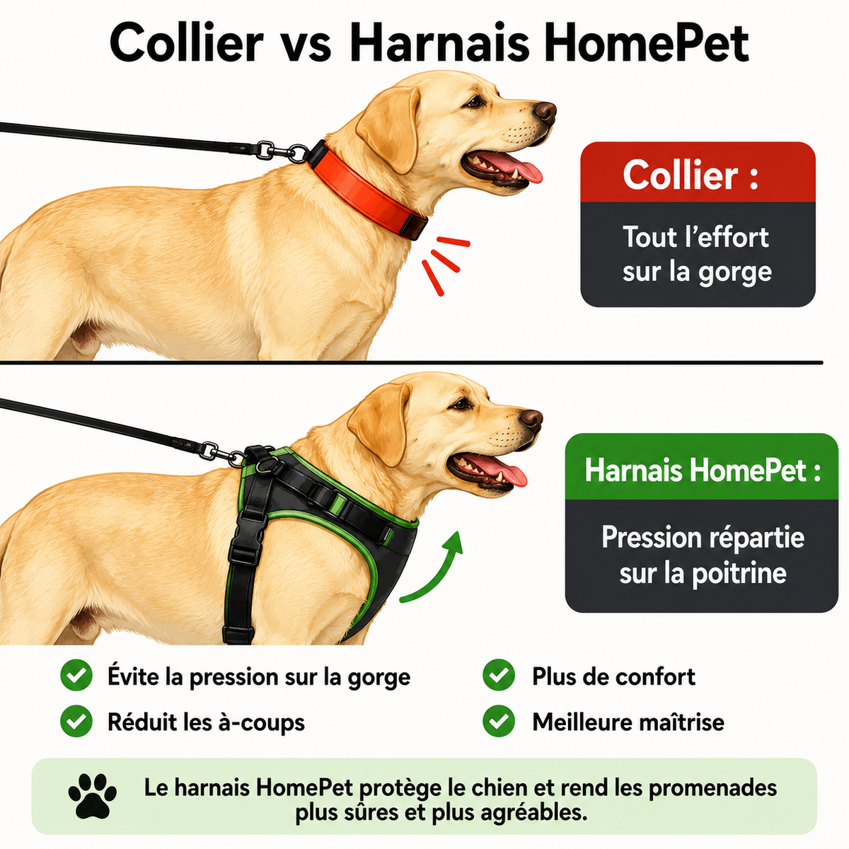 Harnais anti traction HomePet