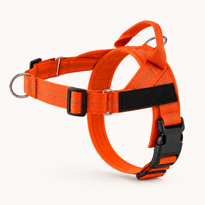 Harnais anti traction HomePet