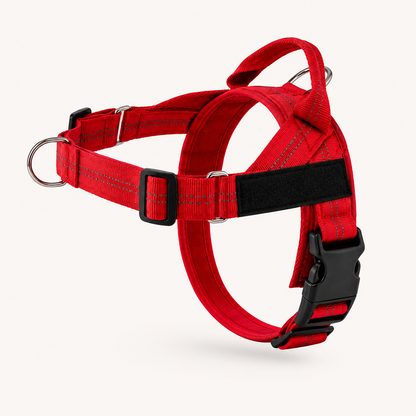 Harnais anti traction HomePet
