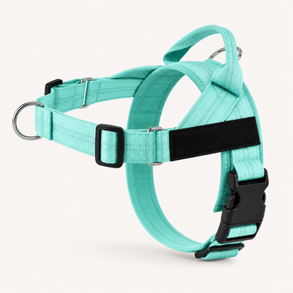 Harnais anti traction HomePet