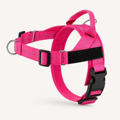 Harnais anti traction HomePet