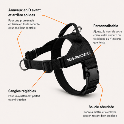 Harnais anti traction HomePet