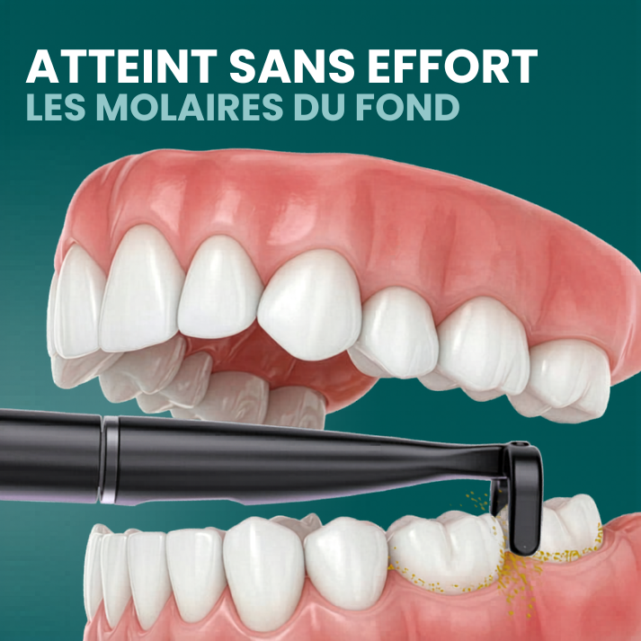Offre avantage de fil dentaire électrique incluant 35 embouts