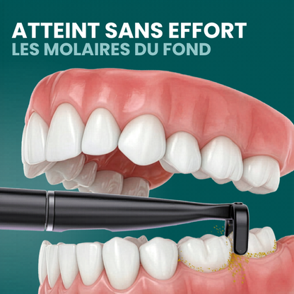 Offre avantage de fil dentaire électrique incluant 35 embouts