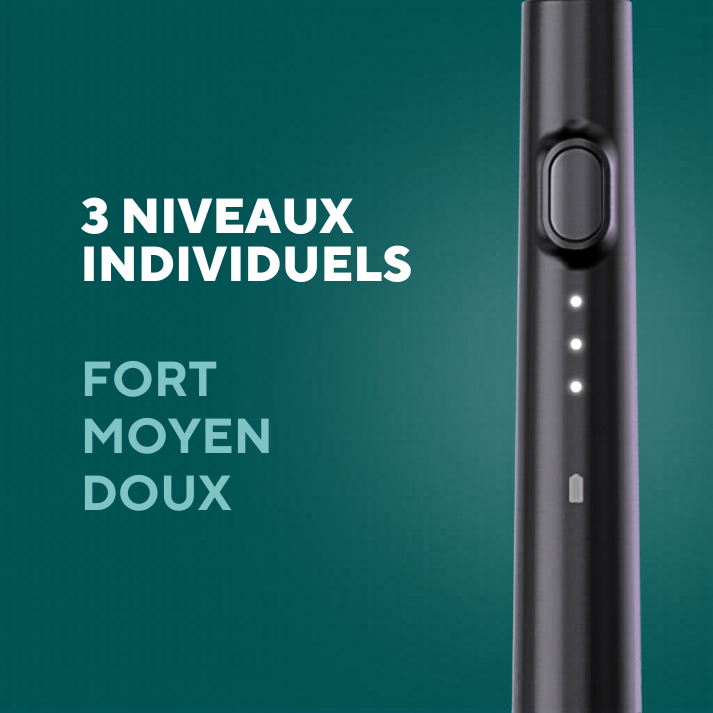 Offre avantage de fil dentaire électrique incluant 35 embouts